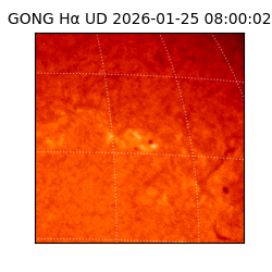 gong - 2026-01-25T08:00:02