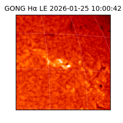 gong - 2026-01-25T10:00:42