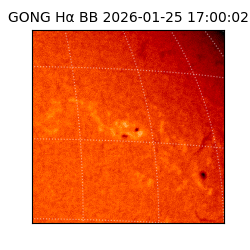 gong - 2026-01-25T17:00:02