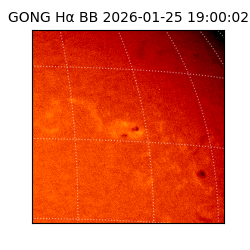 gong - 2026-01-25T19:00:02