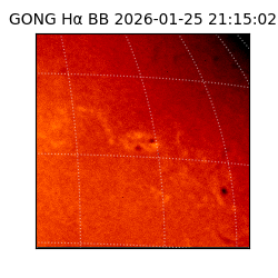 gong - 2026-01-25T21:15:02