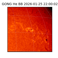 gong - 2026-01-25T22:00:02