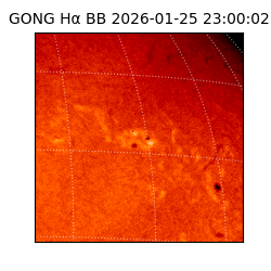 gong - 2026-01-25T23:00:02