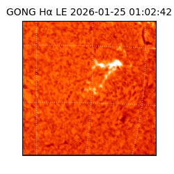 gong - 2026-01-25T01:02:42