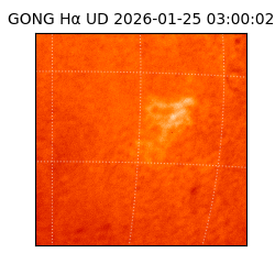 gong - 2026-01-25T03:00:02