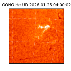gong - 2026-01-25T04:00:02