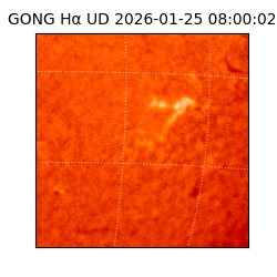 gong - 2026-01-25T08:00:02