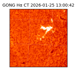 gong - 2026-01-25T13:00:42
