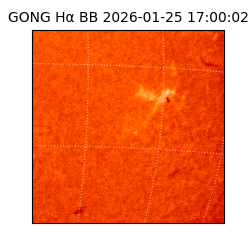 gong - 2026-01-25T17:00:02