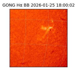 gong - 2026-01-25T18:00:02