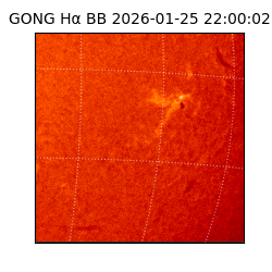 gong - 2026-01-25T22:00:02