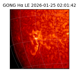 gong - 2026-01-25T02:01:42