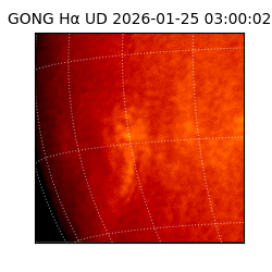 gong - 2026-01-25T03:00:02