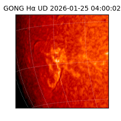 gong - 2026-01-25T04:00:02