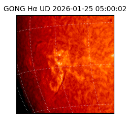 gong - 2026-01-25T05:00:02