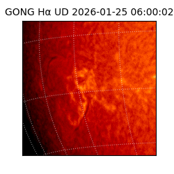 gong - 2026-01-25T06:00:02