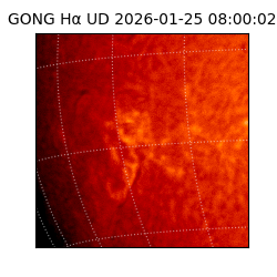gong - 2026-01-25T08:00:02