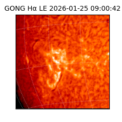 gong - 2026-01-25T09:00:42