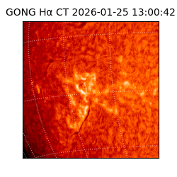 gong - 2026-01-25T13:00:42