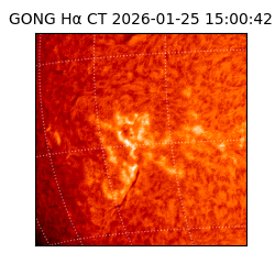 gong - 2026-01-25T15:00:42