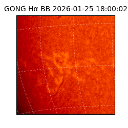 gong - 2026-01-25T18:00:02