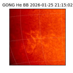 gong - 2026-01-25T21:15:02