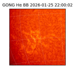 gong - 2026-01-25T22:00:02