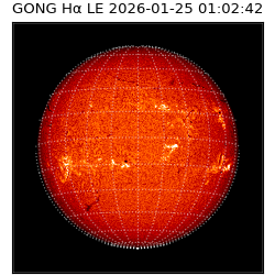 gong - 2026-01-25T01:02:42