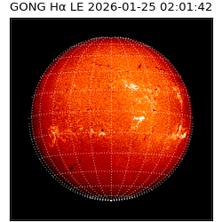gong - 2026-01-25T02:01:42