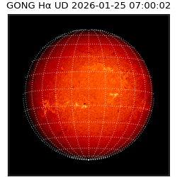 gong - 2026-01-25T07:00:02