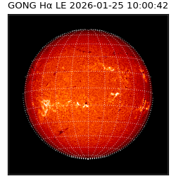 gong - 2026-01-25T10:00:42