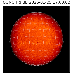 gong - 2026-01-25T17:00:02