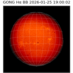 gong - 2026-01-25T19:00:02