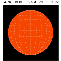 gong - 2026-01-25T20:04:02