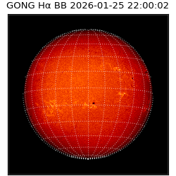 gong - 2026-01-25T22:00:02
