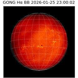 gong - 2026-01-25T23:00:02