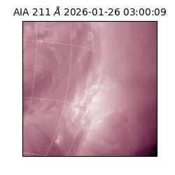 saia - 2026-01-26T03:00:09.626000