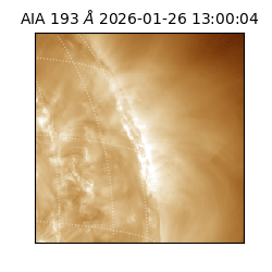 saia - 2026-01-26T13:00:04.843000