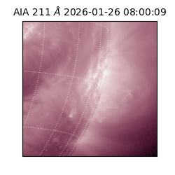 saia - 2026-01-26T08:00:09.626000