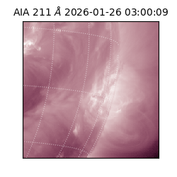 saia - 2026-01-26T03:00:09.626000