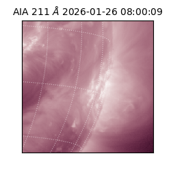 saia - 2026-01-26T08:00:09.626000