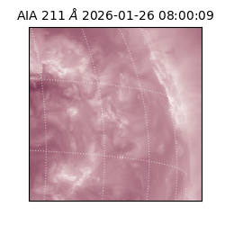saia - 2026-01-26T08:00:09.626000
