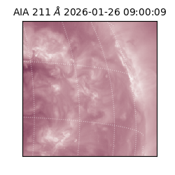 saia - 2026-01-26T09:00:09.622000