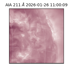 saia - 2026-01-26T11:00:09.622000