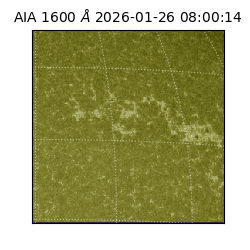 saia - 2026-01-26T08:00:14.125000