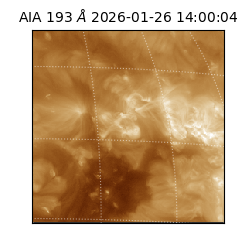 saia - 2026-01-26T14:00:04.843000