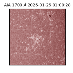 saia - 2026-01-26T01:00:28.726000