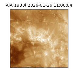 saia - 2026-01-26T11:00:04.844000