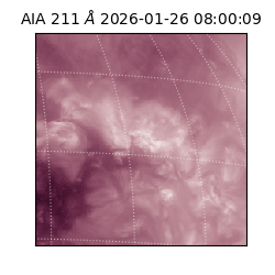 saia - 2026-01-26T08:00:09.626000