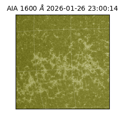 saia - 2026-01-26T23:00:14.137000